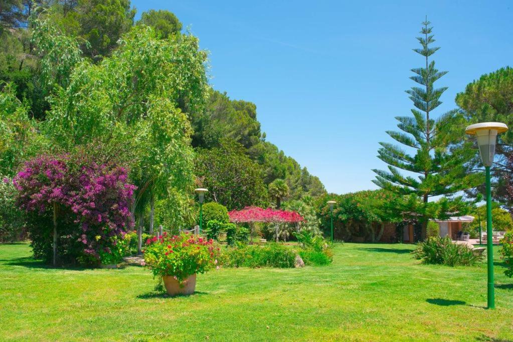 Villa Montgrau Llano de Gorra エクステリア 写真